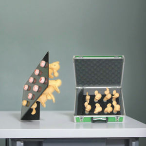 Modelo Anatómico de Lesiones Cervicales Uterinas de 8 Piezas para Entrenamiento de Enfermeras y Escuelas de Medicina - Product Image 5