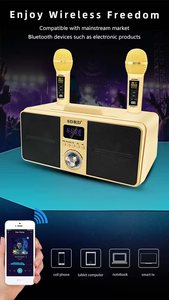Bán Như Hot Bánh Sd309 Tùy Chỉnh 2023 Chất Lượng Cao Sub Woofer Máy Tính Để Bàn Bt Với Không Dây Microphone SDCD Loa Karaoke - Product Image 2