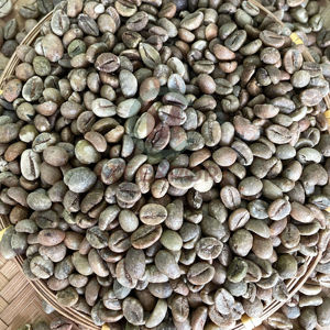 Vietnam Premium Arabica Robusta granos de café verde orgánico 100% puro Natural para tostado de bebidas al por mayor - Product Image 1