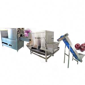 Motor de componentes principales y PLC-Maquinaria de procesamiento de cebolla Línea de producción eficiente de máquina peladora de raíces para procesamiento de cebolla - Product Image 3