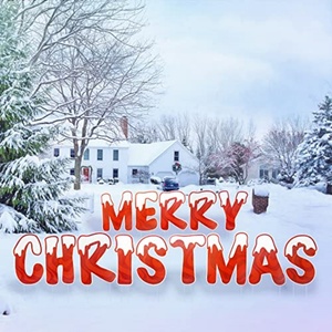 Christmas Yard <b>Decorations</b> Outdoor Yard Sign with Stakes Waterproof Outdoor Tree <b>Snowflake</b> <b>Decoration</b> for Holiday - Product Image 3
