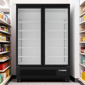 Vitrine réfrigérée à porte simple en verre pour supermarché, armoire réfrigérée verticale pour aliments surgelés - Product Image 2