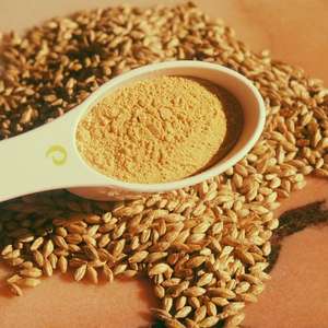 프리미엄 맥아 농축액 분말 천연 양조 및 식품 재료 - Product Image 4