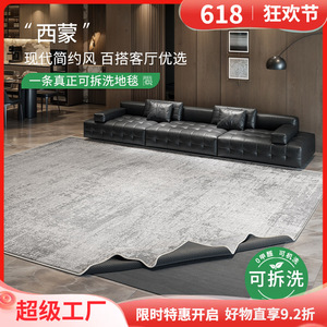 Alfombra Lavable y Removible Lizhen, Rectangular, Moderna, para Sofá, Dormitorio, Alfombra de Gran Tamaño, Lavable a Máquina - Product Image 5