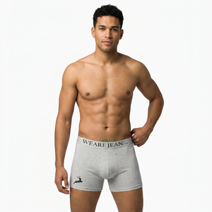 Direct Factory Mens Bamboo Fiber Boxer Briefs Super Soft Breathable Eco Friendly Wholesale OEM Manufacturer - Product Image 2