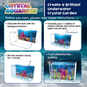 BIG BAND SCIENCE vente chaude incroyable cristal Aquarium jouet ensemble créatif magique enfants bricolage <span class=keywords><strong>jeu</strong></span> jouer à la maison pour les enfants de 12 ans et plus - Product Image 4