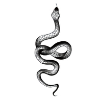 Tatouages temporaires autocollants pour bras, motif serpent vintage cool, demi-bras, imperméables et résistants à l'eau, pour bras, jambe, côté, taille