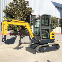 Mini-excavatrice 3,5 tonnes avec moteur Kubota CE EURO 5 EPA, livraison gratuite, petite excavatrice sur chenilles, excavatrice personnalisée, excavatrice domestique CE