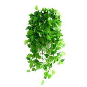 Plantes artificielles en gros sur mesure, rotin d'usine, mur végétal DIY, toile de fond pour photographie intérieure, plantes suspendues de simulation - Product Image 6