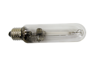 Tube de lampe routière à vapeur de sodium haute pression RADIUM RNP-T, forme tubulaire, douille E40, 250 watts, efficacité 110 lm/W, durée de vie 24000 heures, Chine