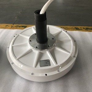 Générateur Magnétique à Énergie Libre Hiest Hydro / Énergie Magnétique Libre 10kw Hiest770-10KW/180RPM - Product Image 2