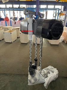 Palans électriques <span class=keywords><strong>ALLMAN</strong></span> avec variateur de vitesse ER2, palan à chaîne électrique 1 tonne, 2 tonnes, 3 tonnes, 5 tonnes, 2 vitesses, nouveau produit fourni, jaune, une unité - Product Image 4