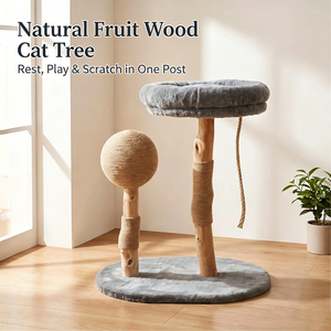 Arbre à chat monobloc en bois massif naturel, avec griffoir et nid, pour petits chats, vente en gros et sur mesure - Product Image 4
