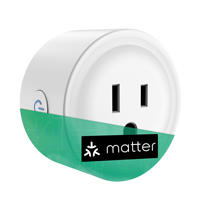 Prise intelligente Matter Smart Plug avec surveillance de la consommation d'énergie, minuterie, contrôle via Alexa/Google Home, application de contrôle à distance pour appareils électroménagers