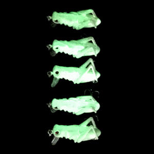 Señuelo de Pesca Multiusos para Insectos, para Carpas de Agua Dulce, Carpas Negras y Peces Pequeños - Product Image 4