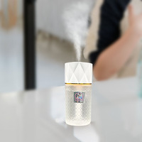 Mini diffuseur d'arômes liquides portable pour voiture, rechargeable par USB, désodorisant durable, étiquette privée personnalisée