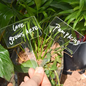 Lazer kesim temizle bahçe bahis Yard dekor akrilik etiketleri Multisize kullanımlık akrilik bitki etiketleri kullanımlık