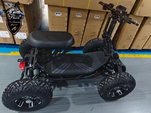 60V 60Ah | 96Ah Opcional |   ATV Todoterreno Plegable para Adultos, 10000W, 31MPH, Carga de 300kg - Product Image 2