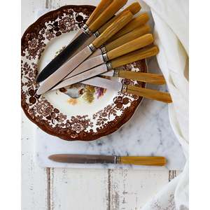 Juego de 12 Cuchillos de Mesa Flaviamastro con Mangos de Resina - Product Image 3