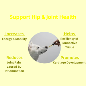 OEM/ODM-Service-Unterstützung: Natürliche Schmerzlindernde Hüft- und Gelenkflüssigkeit für Hunde mit Glucosamin – Nahrungsergänzungsmittel für alle Hunde - Product Image 2