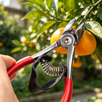 Best verkochte oranje snoeischaar met veiligheidsvergrendeling en antislip handvat voor fruitteelt, appel- en druivenoogst