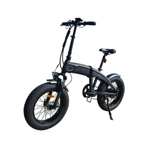 兰图Ebike 20 * 4.0英寸48v 500瓦轮毂电机配合雪地电动自行车