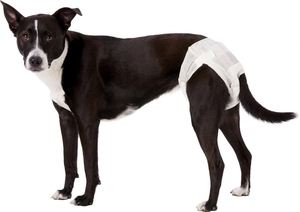 Coussinets absorbants économiques pour animaux de compagnie, taille S, pour animaux femelles, incontinence, haute absorption - Product Image 6