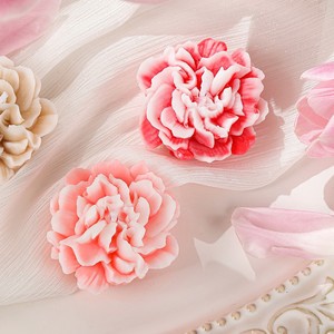 Bougie parfumée à la carnation, parfum de rose, cire de soja mélangée, ensemble cadeau décoratif - Product Image 2