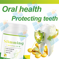 Complément alimentaire en forme de chewing-gum minceur à marque privée OEM/ODM avec extrait de Garcinia Cambogia sans sucre pour la gestion du poids