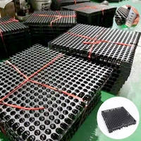 Cellules de drainage modulaires en HDPE pour jardins sur toits et parcs, avec feuille plastique et plaque de drainage alvéolée
