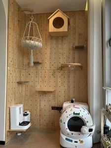 Massivholz-Katzenleiter zur Wandmontage ohne Bohren, Katzennest, Wasserholz-Liegehöhle, Katzenbaum-Kratzbaum, integrierter Katzenständer zum Springen - Product Image 5