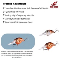 Leurre flottant Red Eyes Crankbait Wobbler 6cm 4.9g, leurre dur pour la pêche au bar en eau douce, matériel de pêche en gros