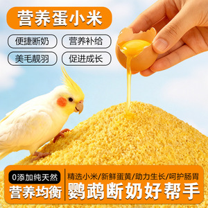 Aliment nutritif pour oiseaux, millet et œufs 500g, complément alimentaire pour perroquets en période de reproduction - Product Image 5