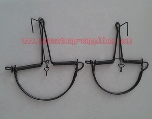 Bẫy Bắt Sống Chuột Bằng Kim Loại Ngoài Trời Bẫy Giữ Chân Động Vật Bẫy Chim Trĩ - Product Image 4