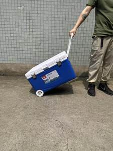 Grande glacière de 50 L pour stands, transport en voiture, <span class=keywords><strong>conservation</strong></span> des aliments en extérieur, livraison à emporter, pêche en mer, <span class=keywords><strong>conservation</strong></span> de la glace - Product Image 6