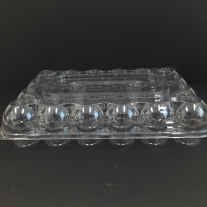 Containers Disposable Food Packing Cupcake Boxes Cup Cake Stand PET Cupcake Packaging Mini Cupcake Plastic No Printing Blister