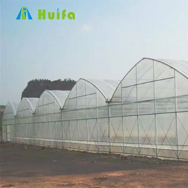 Sayuran plastik komersial rumah hijau orangerie tomat bahan pertanian para invernaderos terowongan tinggi