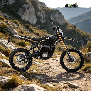 Moto électrique à couple élevé, bête tout-terrain, Ultra Bee HP X - Product Image 2