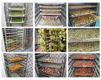 Four de séchage alimentaire automatique portable avec moteur, engrenage et PLC pour le séchage des épis et des grains de maïs