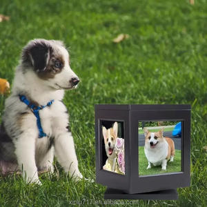 שחור הנצחה מודרני לחיות מחמד אדרת קופסת זיכרון עבור כלבים וחתולים אפר תיבת מזכרת - Product Image 6