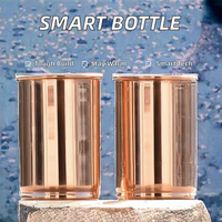Infusor de filtro de botella de agua con aislamiento de 500ml de diseño moderno termo Digital LED inteligente para envío