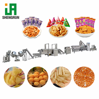 Friteuse Électrique Professionnelle pour Aliments, Machine à Frire les Pani Puri et les Chips de Plantain