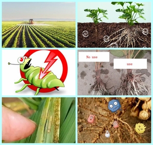 <span class=keywords><strong>ปุ๋ย</strong></span>อินทรีย์จุลินทรีย์<span class=keywords><strong>ปุ๋ย</strong></span>แบคทีเรียปุ๋ยชีวภาพ - Product Image 3