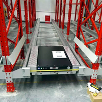 Solutions d'automatisation robustes à base de navettes métalliques, dotées de voitures navettes robotisées, compatibilité WMS pour la distribution moderne