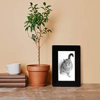 Ataúd Conmemorativo de Madera Maciza para Gatos y Perros, Caja Funeraria para Conejos, Urna de Cremación de Latón para Cenizas, Artículos Esenciales para Mascotas, Ataúdes y Urnas para Mascotas