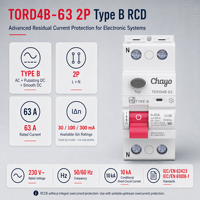 Interruptor Diferencial (RCD) Tipo B de 10kA, 2P/4P, Cobre, 63A, 30-300mA, Certificado CB/CE, para Carga de Vehículos Eléctricos (VE) Chayo
