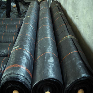 <span class=keywords><strong>Malla</strong></span> Antihierbas 4 Metros 130 Gr Negro 100 Metros - Product Image 6