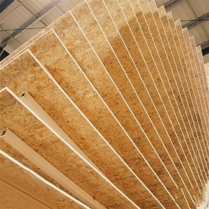 Vente en gros de contreplaqué filmé industriel de 18mm peuplier eucalyptus de Chine pour la construction coffrage en béton 12mm - Product Image 5