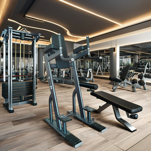 Équipement de gymnastique commerciale MACHINE VERTICALE <span class=keywords><strong>KNESS</strong></span> UP/DIP GYM - Product Image 4