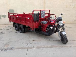 Motocargo 300cc 350cc avec benne de chargement 2,5m*1,5m, Tricycle à benne basculante 9 roues, Ambulance, Motocyclettes à vendre, Motorking Motortricycle - Product Image 4